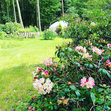 Gingerbread Cottage Yurts Dereham Ngoại thất bức ảnh