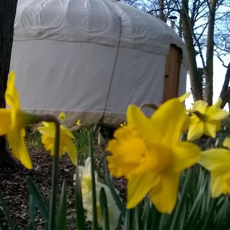 Gingerbread Cottage Yurts Dereham Ngoại thất bức ảnh