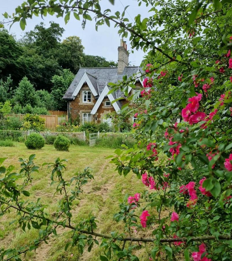 Gingerbread Cottage Yurts Dereham Ngoại thất bức ảnh