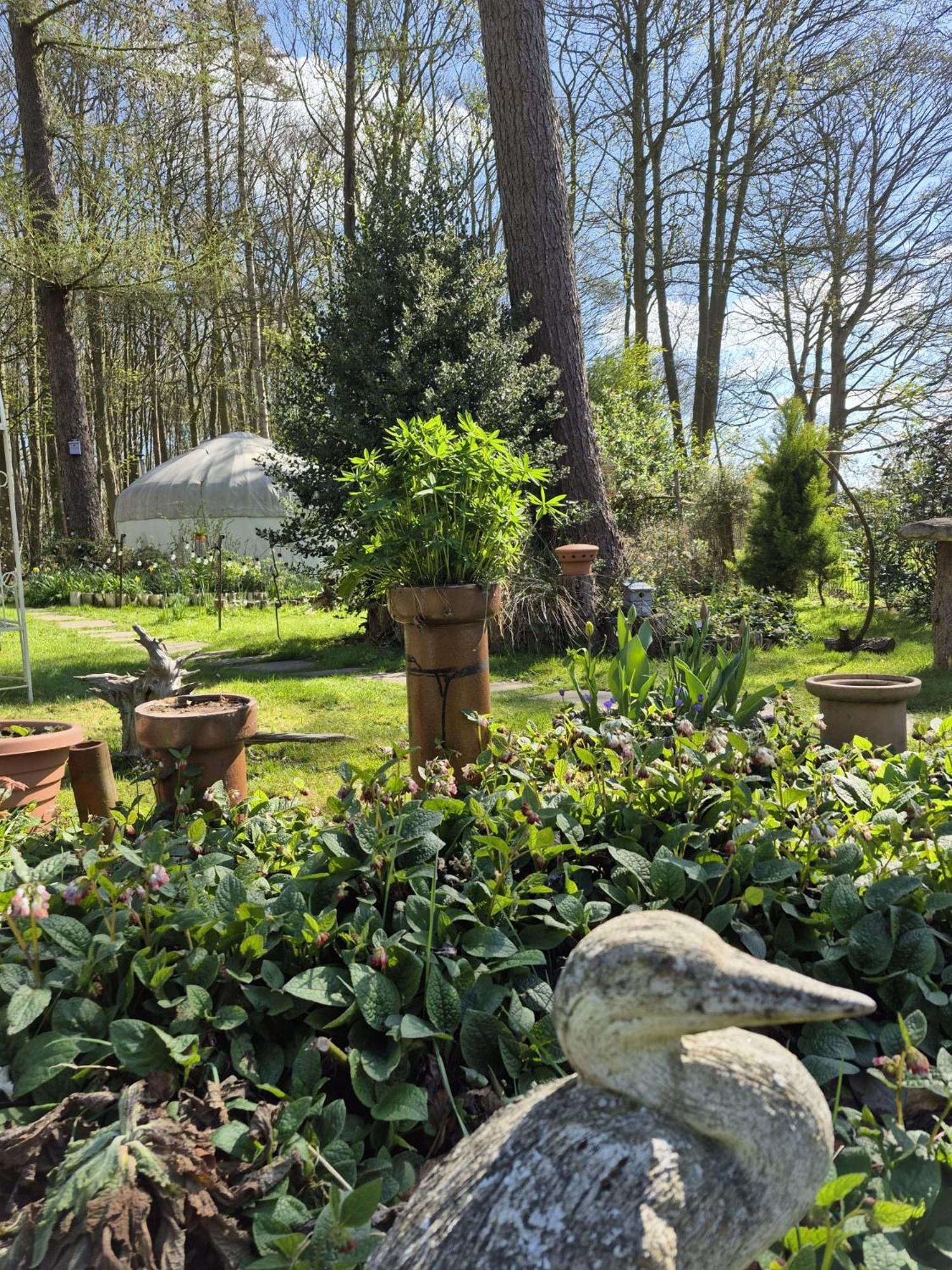 Gingerbread Cottage Yurts Dereham Ngoại thất bức ảnh
