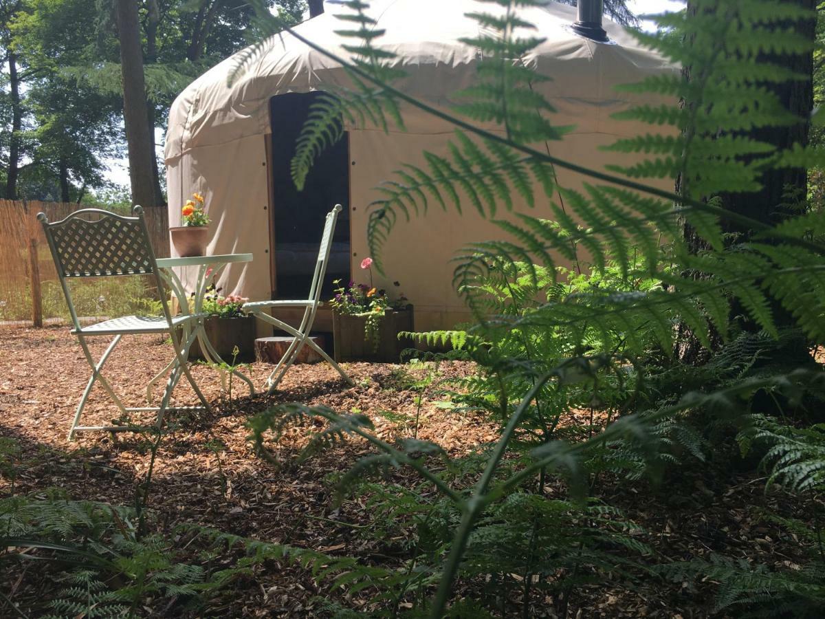 Gingerbread Cottage Yurts Dereham Ngoại thất bức ảnh