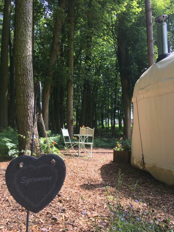 Gingerbread Cottage Yurts Dereham Ngoại thất bức ảnh