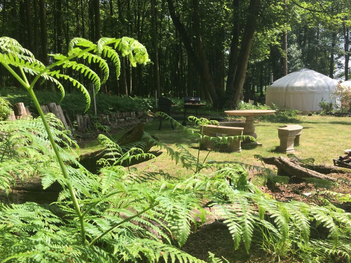 Gingerbread Cottage Yurts Dereham Ngoại thất bức ảnh