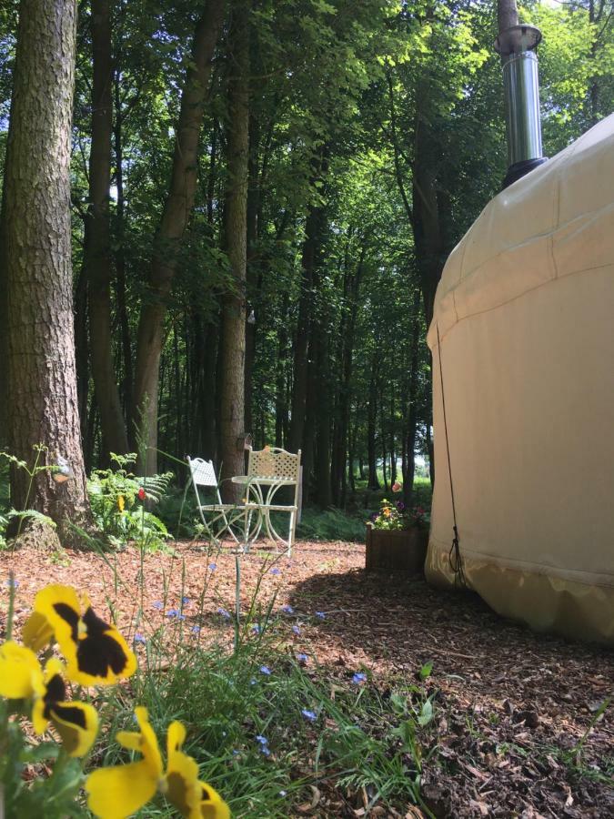 Gingerbread Cottage Yurts Dereham Ngoại thất bức ảnh